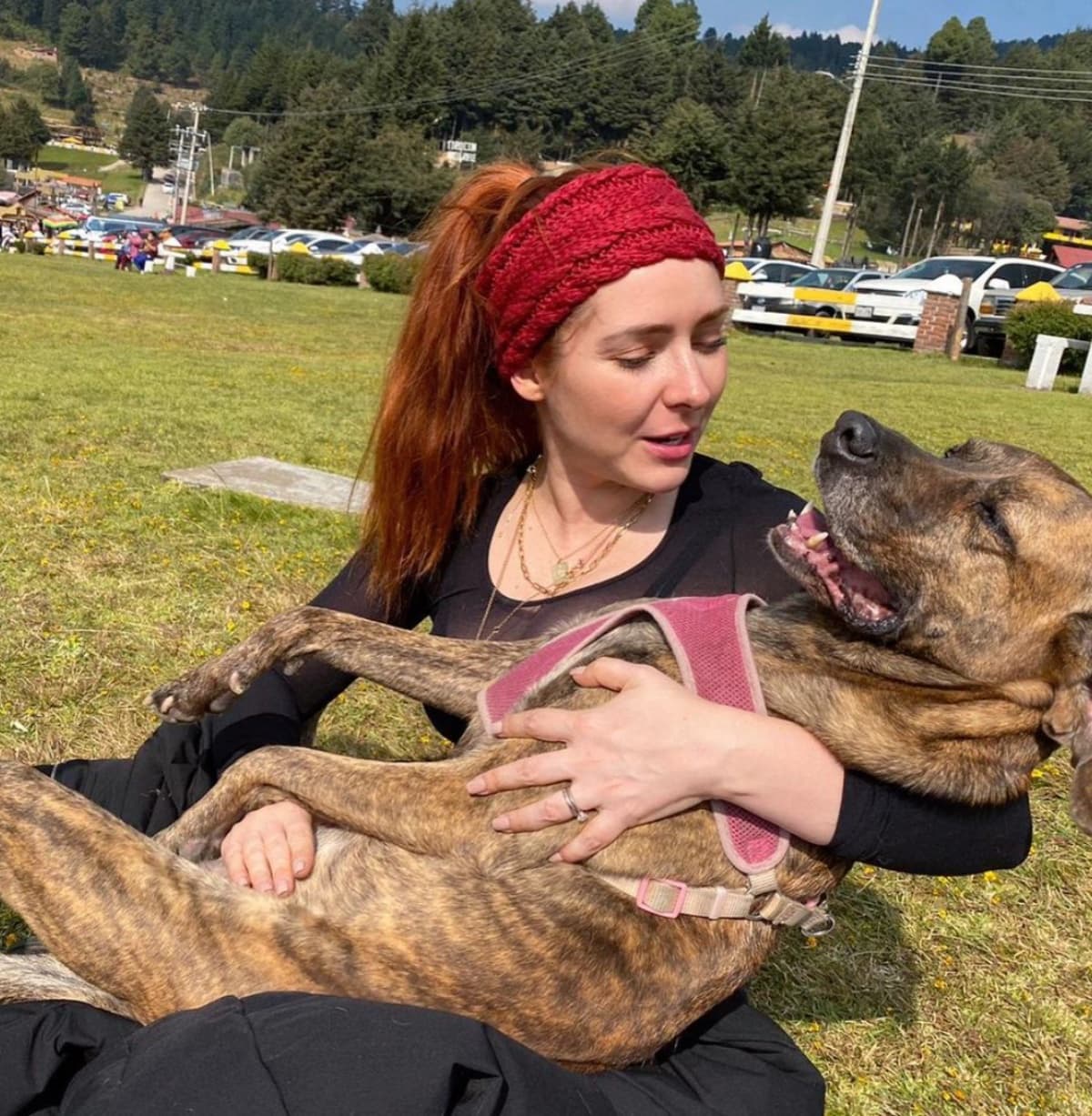 Ariadne Díaz sufre por la muerte de su perrita; un cocodrilo se la devoró