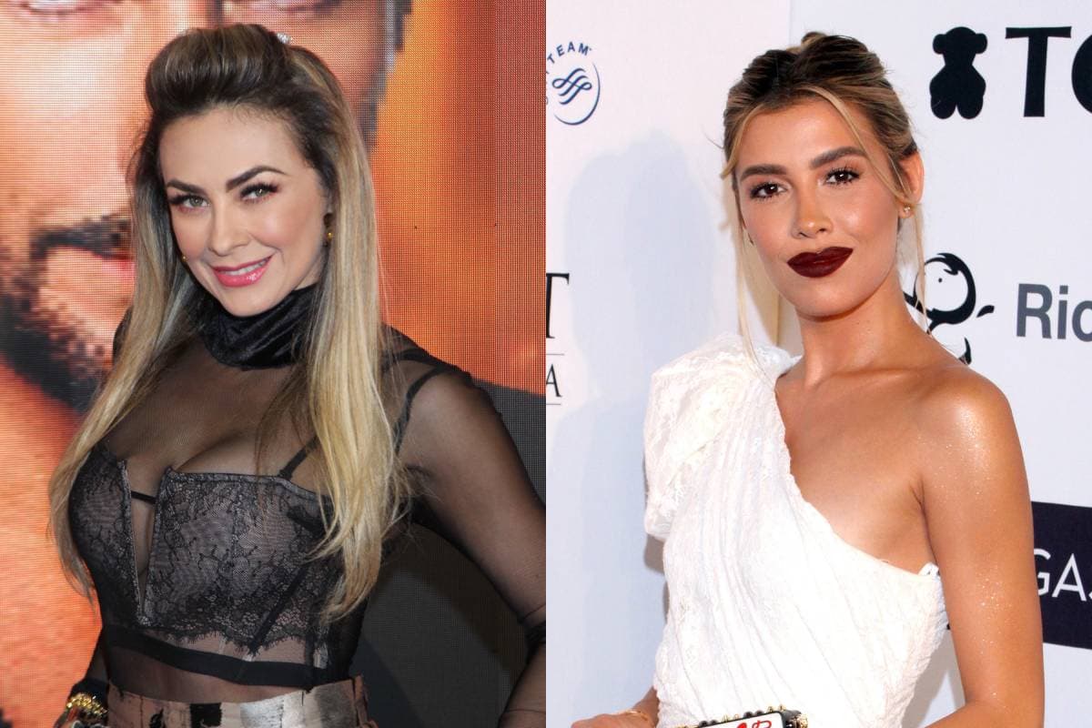 Aracely Arámbula revela cómo se lleva Michelle Salas con sus hijos