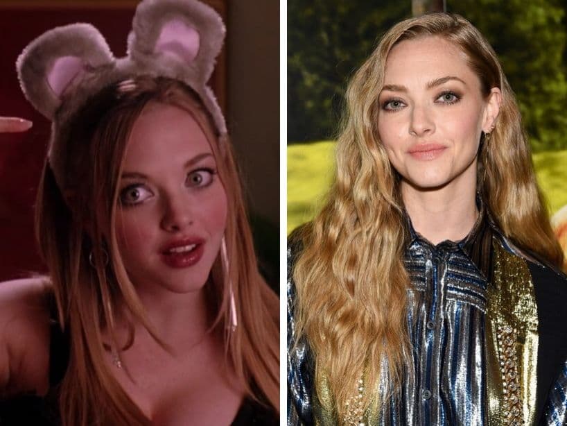 Después de interpretar a la chica boba del grupo, Karen Smith, Amanda Seyfried se ha consolidado como una de las actrices más reconocidas y recientemente, presumió su nueva faceta como mamá.