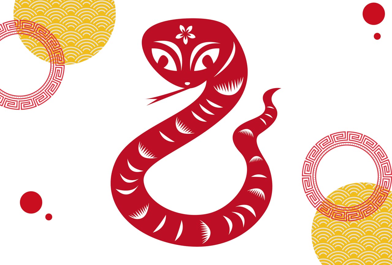 SERPIENTE Este signo representa a todos los nacidos en los siguientes años: 1941, 1953, 1965,1977, 1989, 2001 y 2013. Características: Son muy inteligentes, pero muy desconfiados y les cuesta trabajo abrirse; a pesar de esto, en ocasiones pueden ser muy empáticos. El 2020: será un año bueno socialmente, ya que conocerás gente nueva que aportará cosas diferentes a tu vida. Puede llegar a ser un año muy cansado, recuerda aprovechar tu tiempo libre para relajarte y no dejar que el cansancio te consuma.