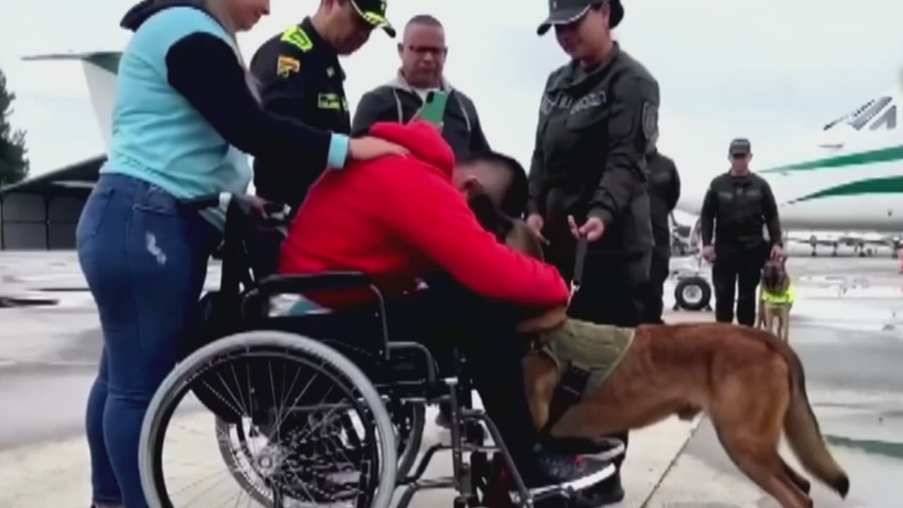 Policía se reencuentra con su perro tras sobrevivir a un ataque armado: así fue el emotivo momento