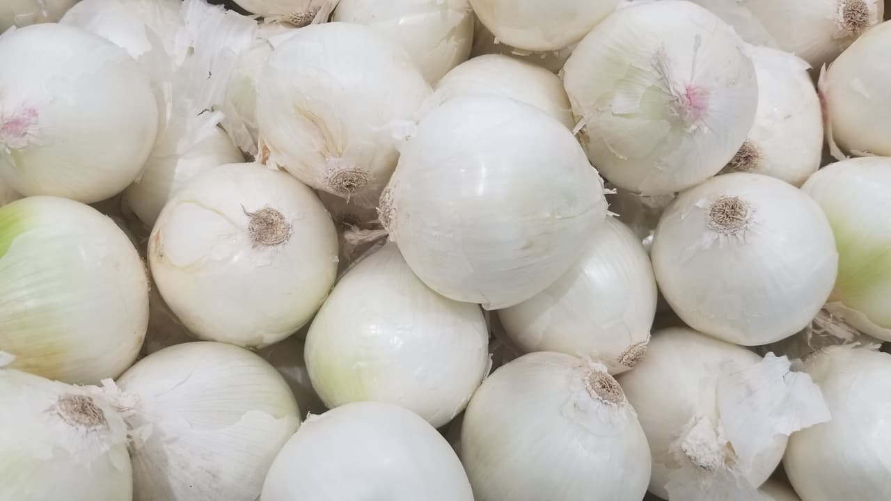 Facebook y Twitter están llenos de publicaciones de personas que aseguran que comiendo cebolla se evita el coronavirus. Aunque la gente asegura que son recetas de abuelita que son efectivas, la verdad es que ponerle cebolla extra a tus taquitos no te va a volver inmune al COVID-19.
