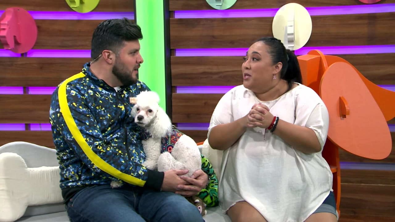 Michelle Rodríguez comparte cómo es su vida a lado de sus mascotas: Miel, Cuba y María Nuez