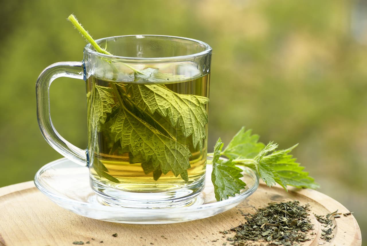 Infusión de ortiga. Prepara la infusión y déjala reposar por 10 minutos. Sírvelo en una taza y bébelo, puedes agregar azúcar si lo deseas.