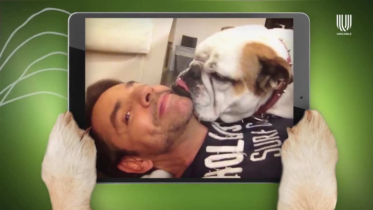 Eugenio Derbez habla de su mascota, Fiona: ‘la amo tanto como a mis hijos’