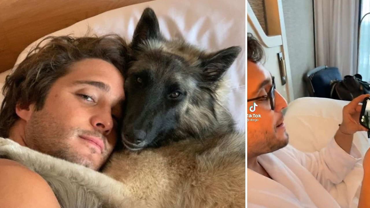 Diego Boneta muestra su lado más cursi: Así le habla por videollamada a su perrita Akila