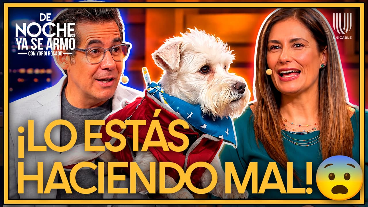 ¡Cuidado! Estos errores pueden enfermar a tu perro