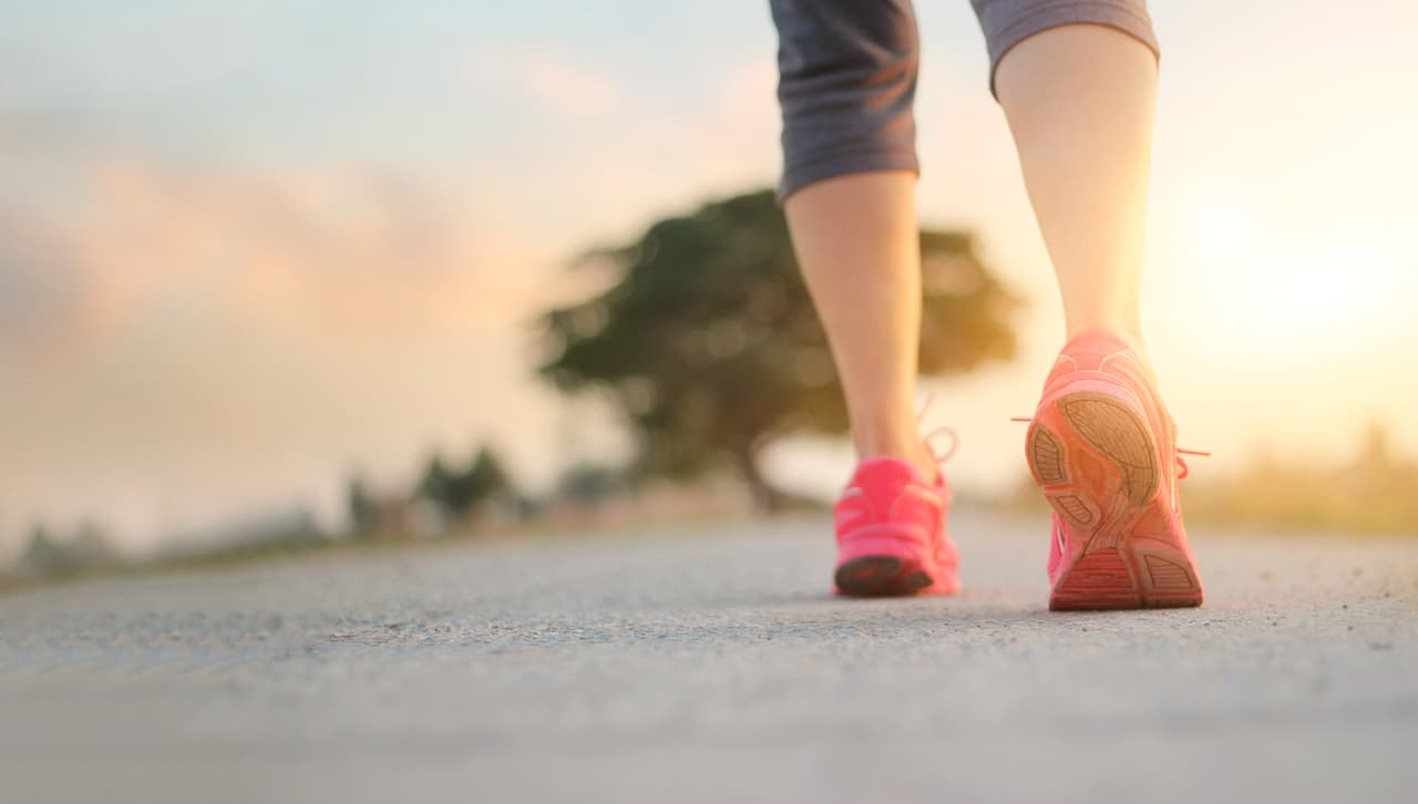 Hacer ejercicio es fundamental para mejorar nuestra calidad de vida y prevenir enfermedades. ¡Haz clic en la galería y descubre por qué debes caminar 30 minutos todos los días!