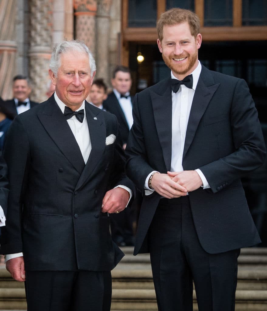 Por otro lado, la biografa del Príncipe Harry, Penny Junor, reveló que el periódico llamado News of the World llegó a obtener una herba del cabello de Harry, con el cual habrían hecho una prueba de ADN, por lo que "de haber resultado hijo de Hewitt", el mundo entero ya lo sabría.