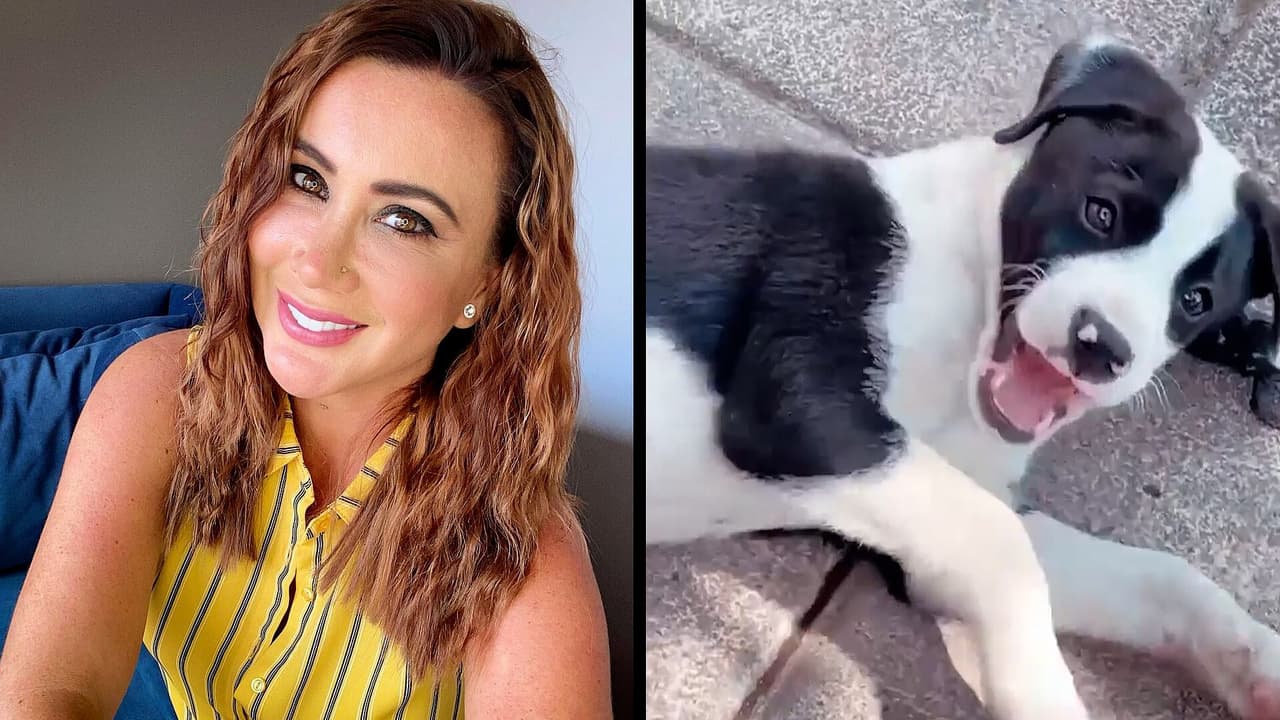 Mariazel muestra cuál es el juguete favorito de su perrito Panda