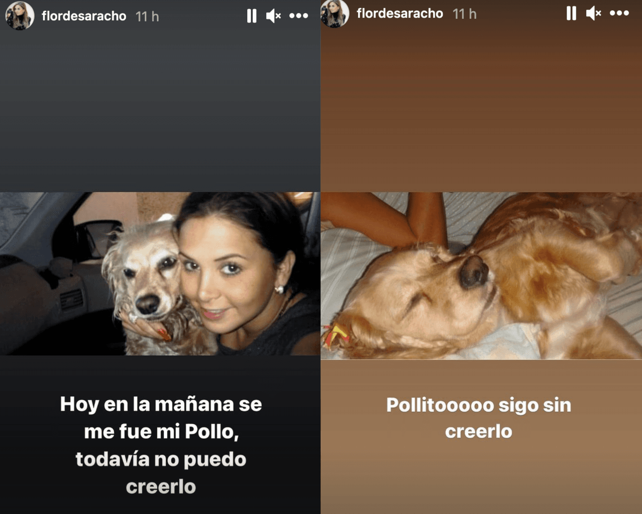 Florencia de Saracho está de luto