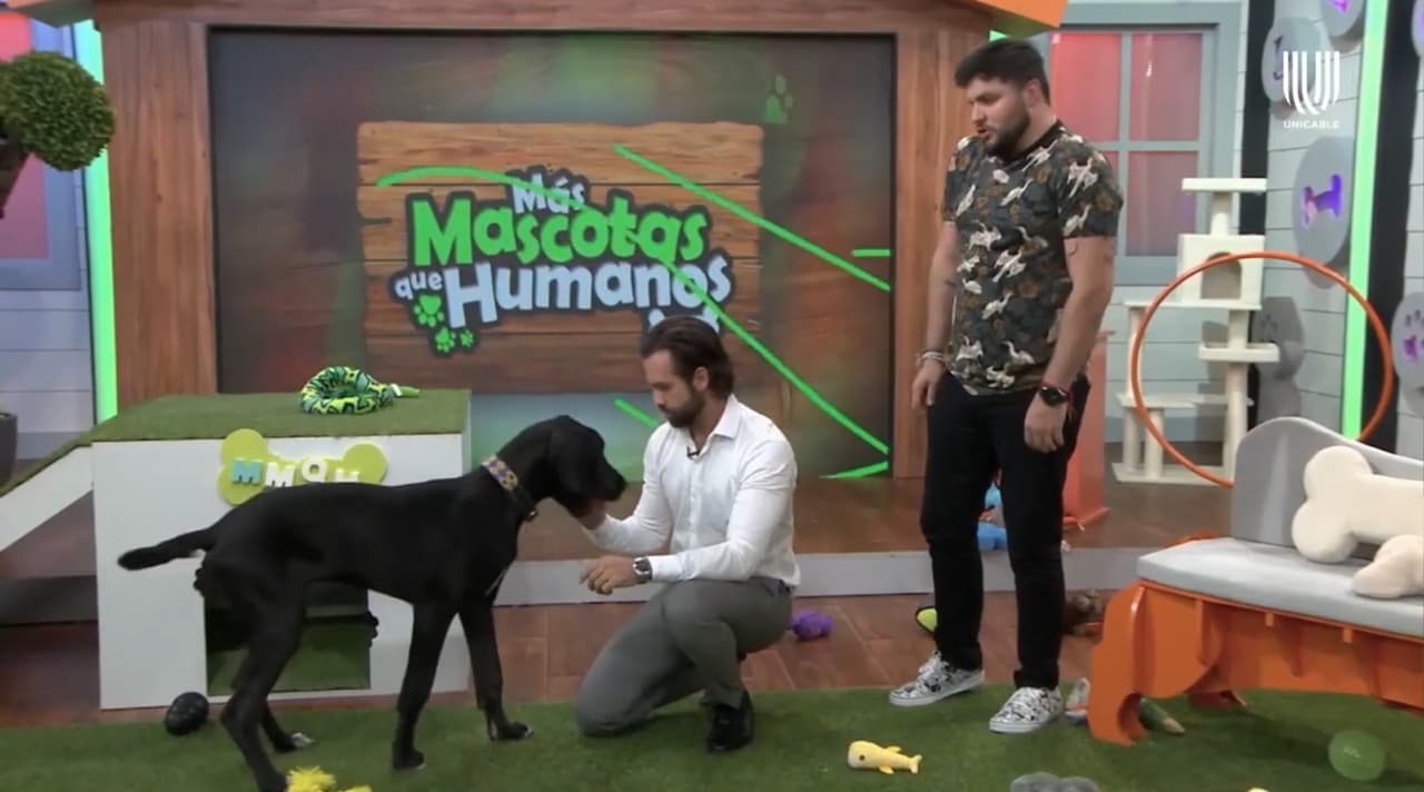 Diego de Erice habla del amor que siente por su mascota, Boston: ‘me enamoré desde que lo vi’
