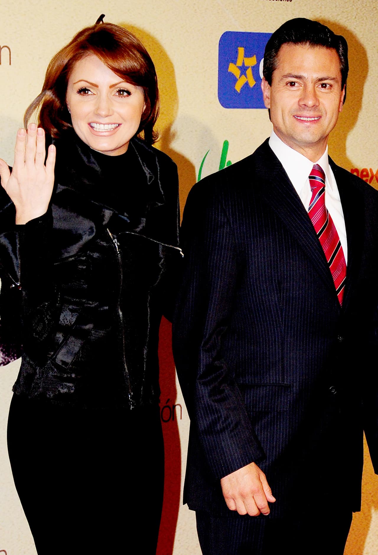 En diciembre de 2012, Enrique Peña Nieto asume la presidencia de México y la página oficial del gobierno de la República anunció a Angélica como Primera Dama.