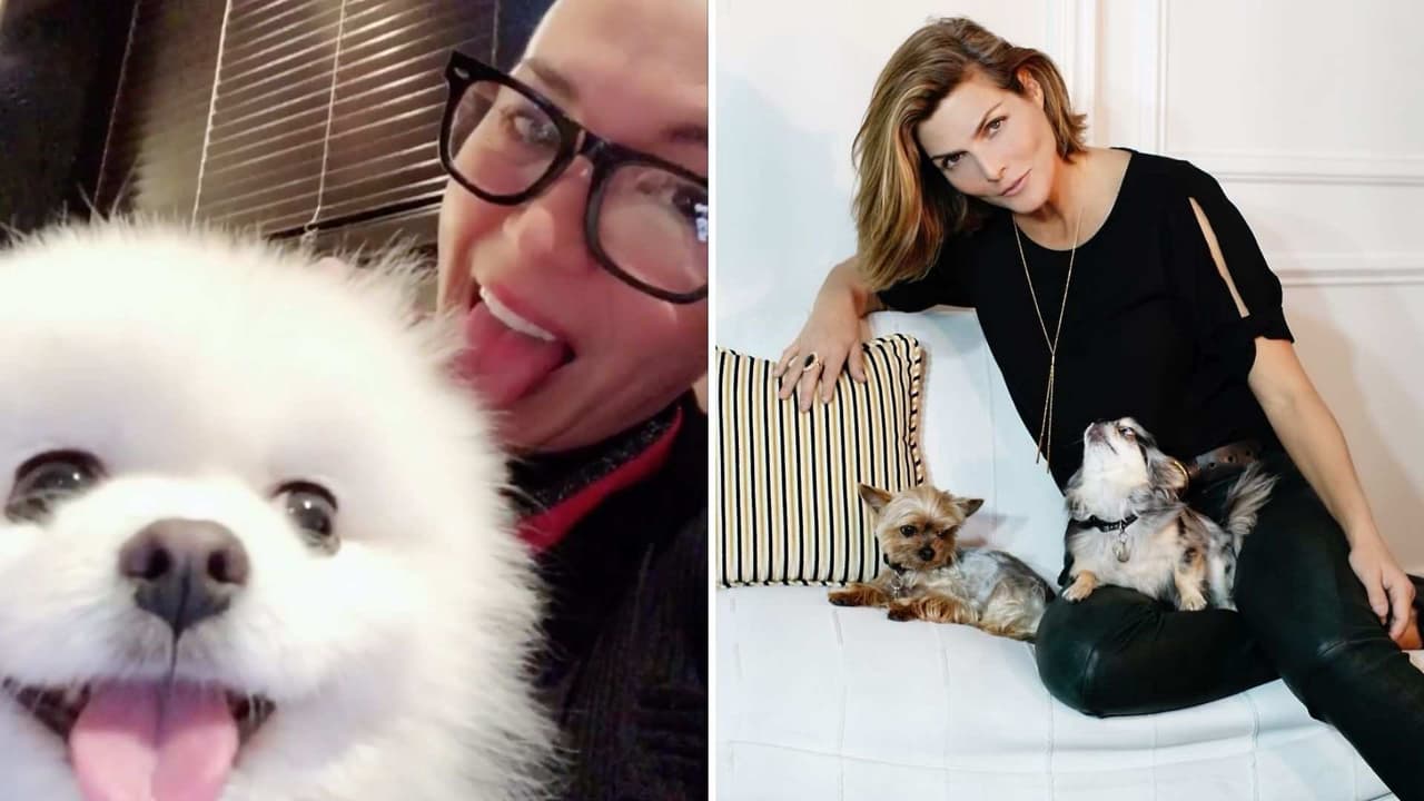 Los amores ‘perros’ de Montse y Joe