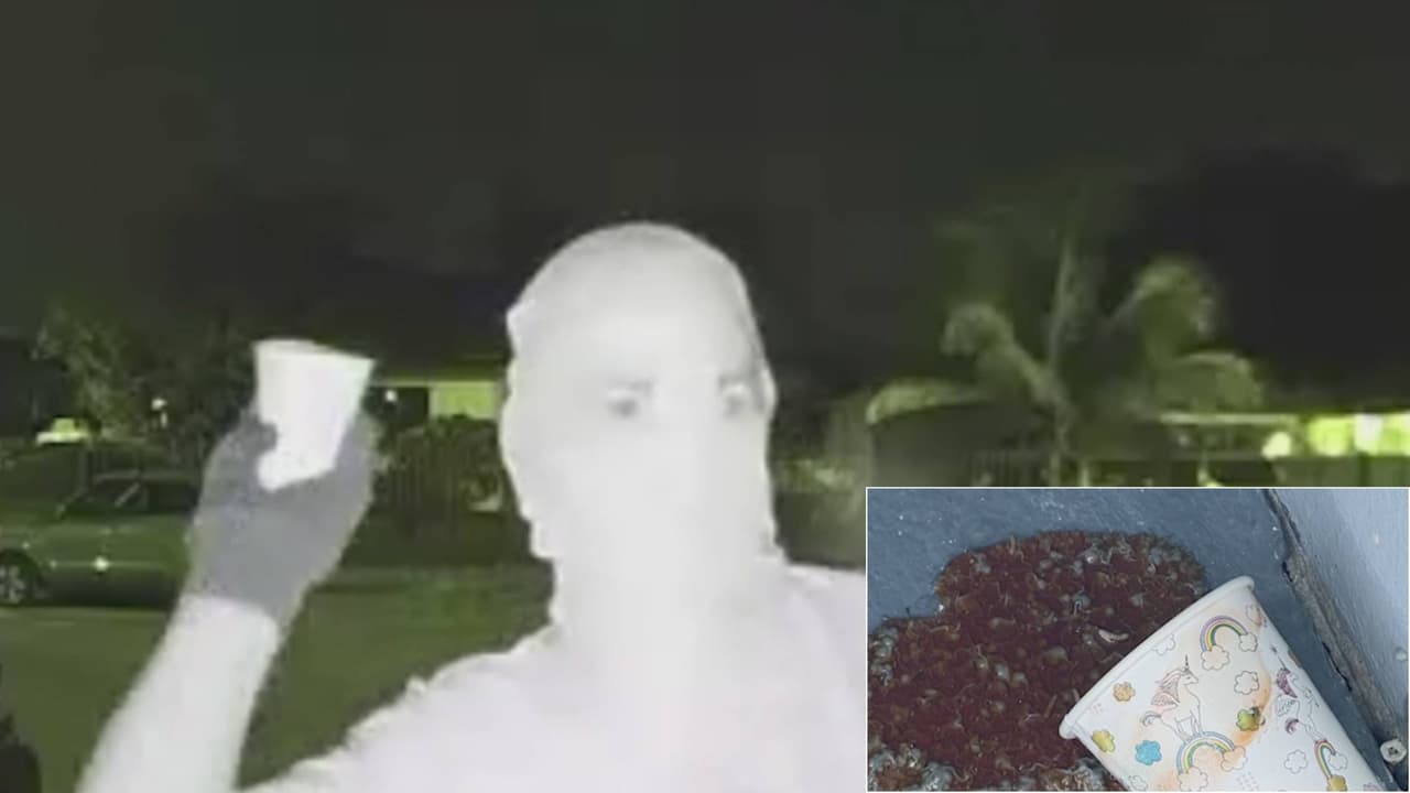 Video muestra a un hombre atacando con ácido una casa de Allapattah
