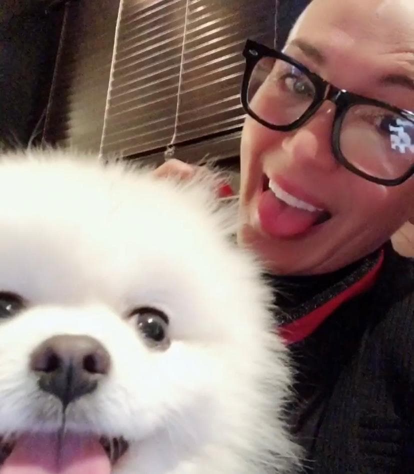 Para participar solo tendrás que subir sus fotos y videos a tus redes sociales, usando el hashtag #MiMascotaEs.
