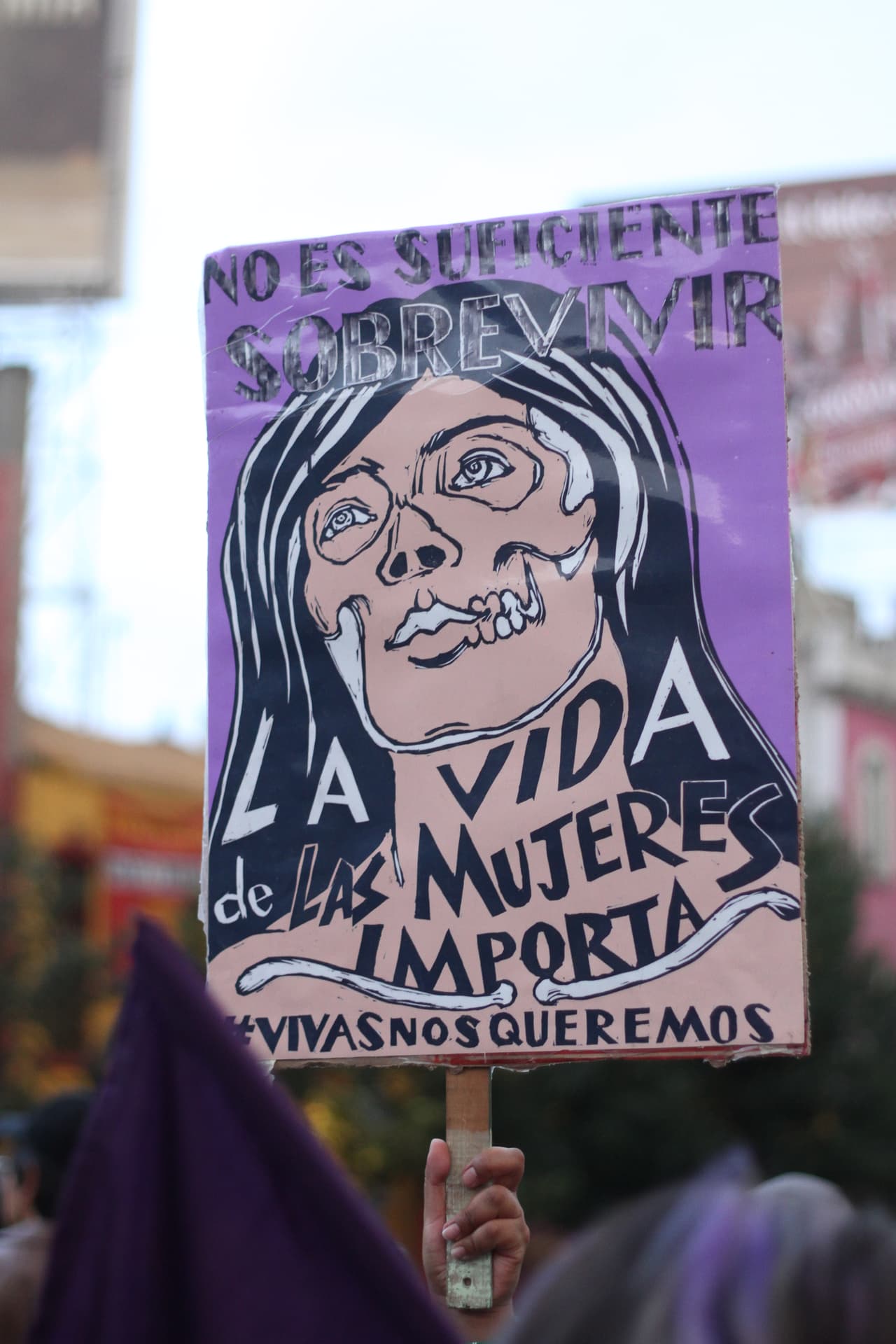 "No es suficiente sobrevivir. La vida de las mujeres importa. #Vivasnosqueremos".