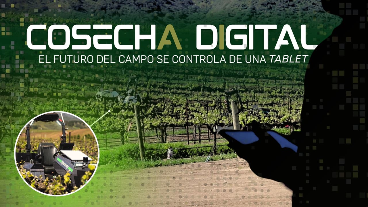 Cosecha Digital: el futuro del campo se controla de una tablet