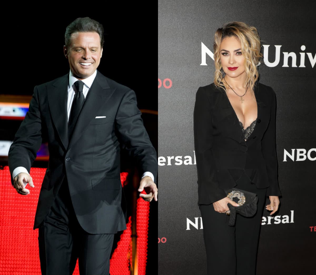 Afirman que Luis Miguel insultó a Aracely Arámbula