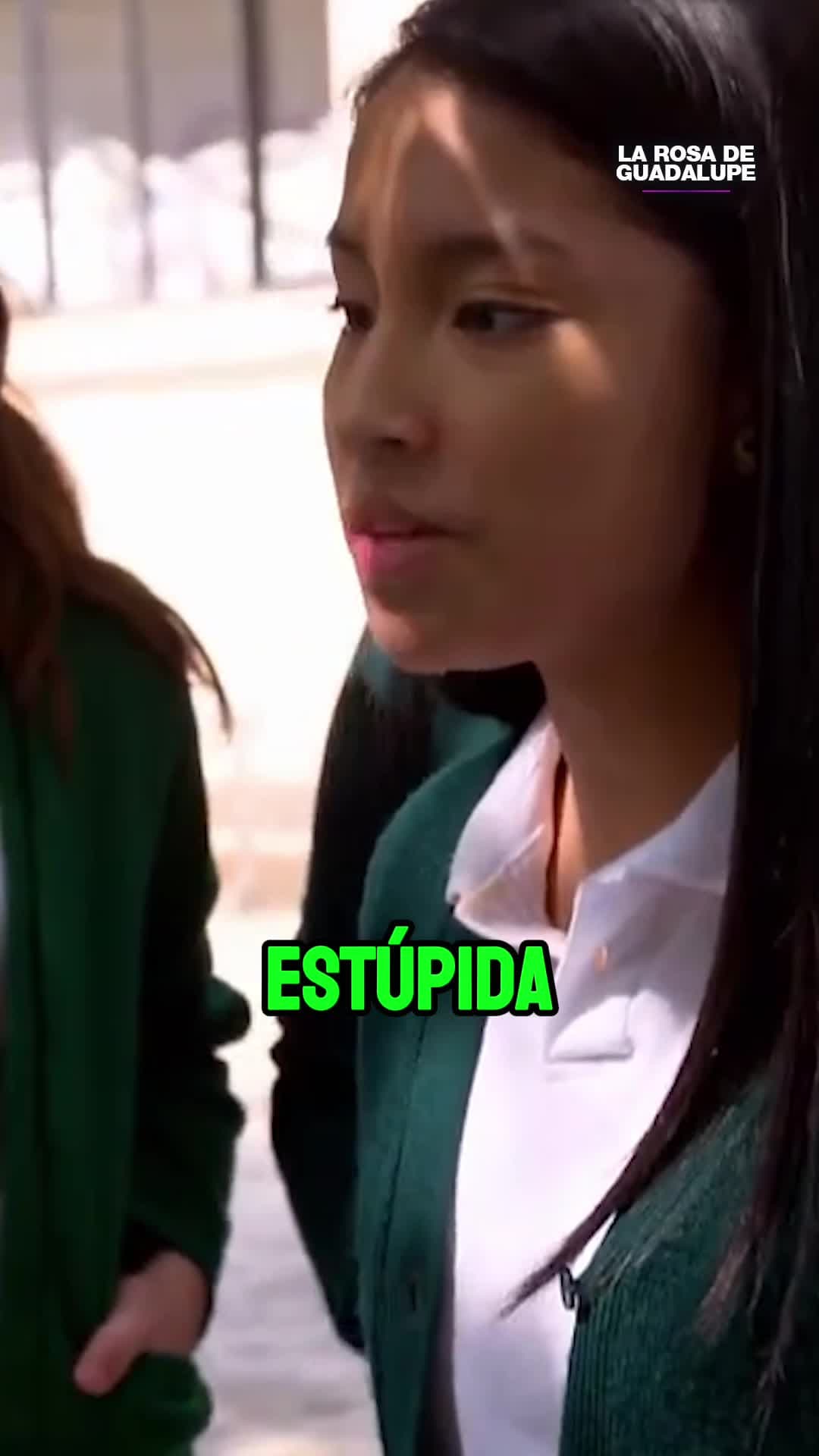 ¡Aparte de tarada, eres ciega!