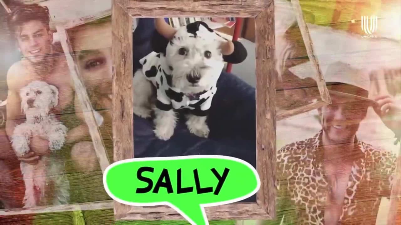 Polo Morín presenta a su mascota Sally y cuenta cómo llegó a su vida