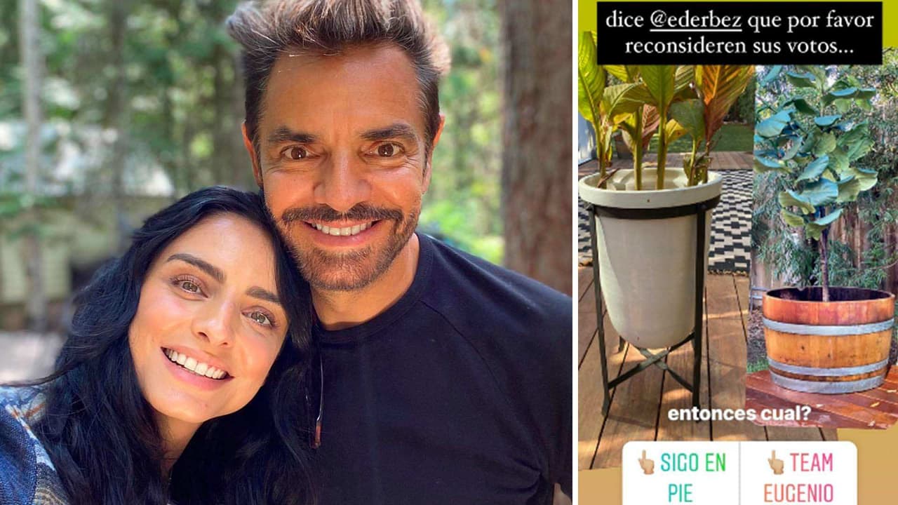 Aislinn y Eugenio Derbez dividen la opinión de sus seguidores en una divertida competencia de macetas