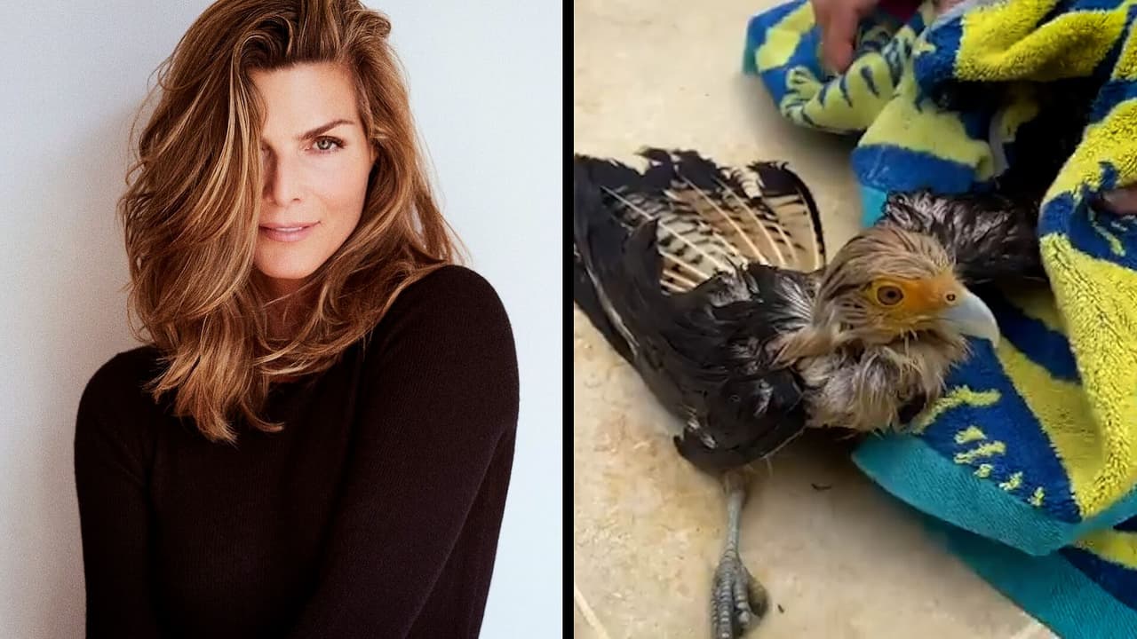 Montserrat Oliver rescató un ave y hasta una mordida se llevó