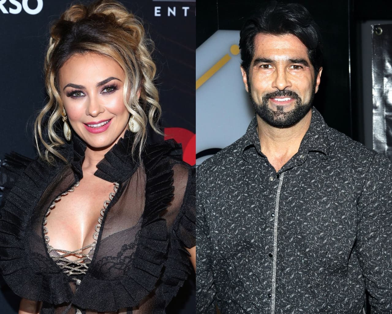 Aracely Arámbula confiesa cómo fue realmente Arturo Carmona con sus hijos y por qué negó su romance.