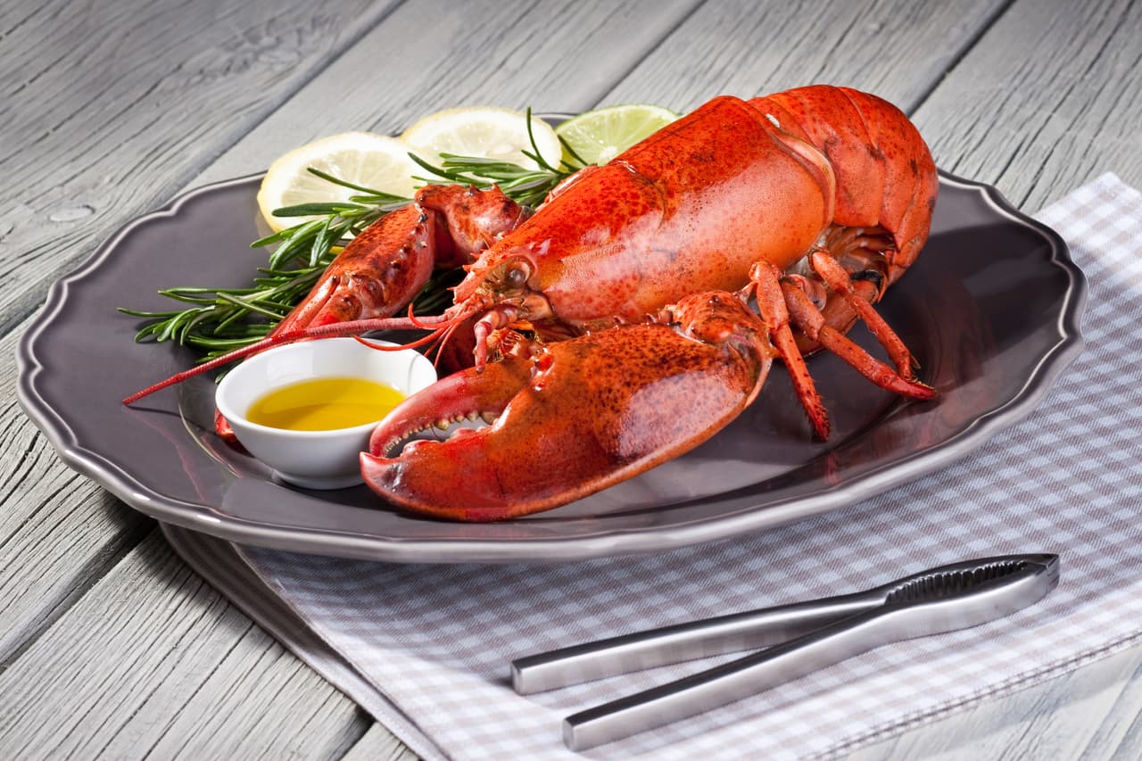 Red lobster on plate. [url=file_closeup.php?id=16437496][img]file_thumbview_approve.php?size=1&id=16437496[/img][/url] [url=file_closeup.php?id=16437396][img]file_thumbview_approve.php?size=1&id=16437396[/img][/url] [url=file_closeup.php?id=16386162][img]file_thumbview_approve.php?size=1&id=16386162[/img][/url] [url=file_closeup.php?id=16386128][img]file_thumbview_approve.php?size=1&id=16386128[/img][/url] [url=file_closeup.php?id=16386105][img]file_thumbview_approve.php?size=1&id=16386105[/img][/url] [url=file_closeup.php?id=16378940][img]file_thumbview_approve.php?size=1&id=16378940[/img][/url] [url=file_closeup.php?id=16332697][img]file_thumbview_approve.php?size=1&id=16332697[/img][/url] [url=file_closeup.php?id=16378912][img]file_thumbview_approve.php?size=1&id=16378912[/img][/url] [url=file_closeup.php?id=16332604][img]file_thumbview_approve.php?size=1&id=16332604[/img][/url] [url=file_closeup.php?id=16331215][img]file_thumbview_approve.php?size=1&id=16331215[/img][/url] [url=file_closeup.php?id=16814037][img]file_thumbview_approve.php?size=1&id=16814037[/img][/url] [url=file_closeup.php?id=16954062][img]file_thumbview_approve.php?size=1&id=16954062[/img][/url] [url=file_closeup.php?id=17335470][img]file_thumbview_approve.php?size=1&id=17335470[/img][/url] [url=file_closeup.php?id=17335441][img]file_thumbview_approve.php?size=1&id=17335441[/img][/url]