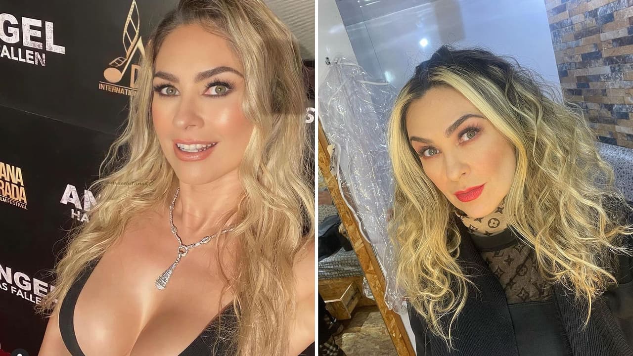 Así reacciona Aracely Arámbula con sus perritos por arruinar sus tenis