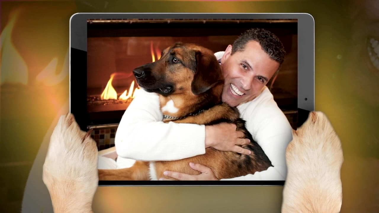 Marco Antonio Regil comparte en MMQH lo que significa su mascota Bernie para él