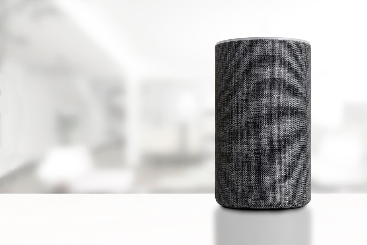 Para el fan de la tecnología: Los asistentes de voz ofrecen grandes ventajas a sus usuarios, quienes pueden adaptar sus diversas funciones de acuerdo a las necesidades de su hogar.