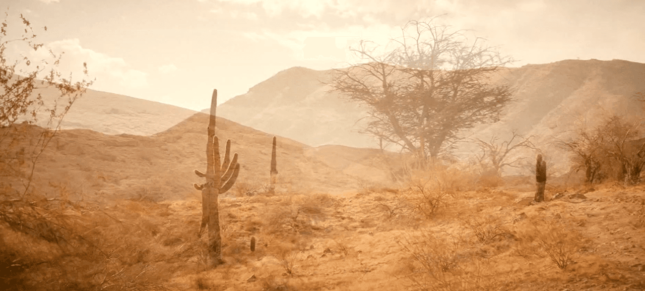 El desierto de Arizona terminó con la vida de Aguida, la inmigrante embarazada que falleció en su camino a EEUU