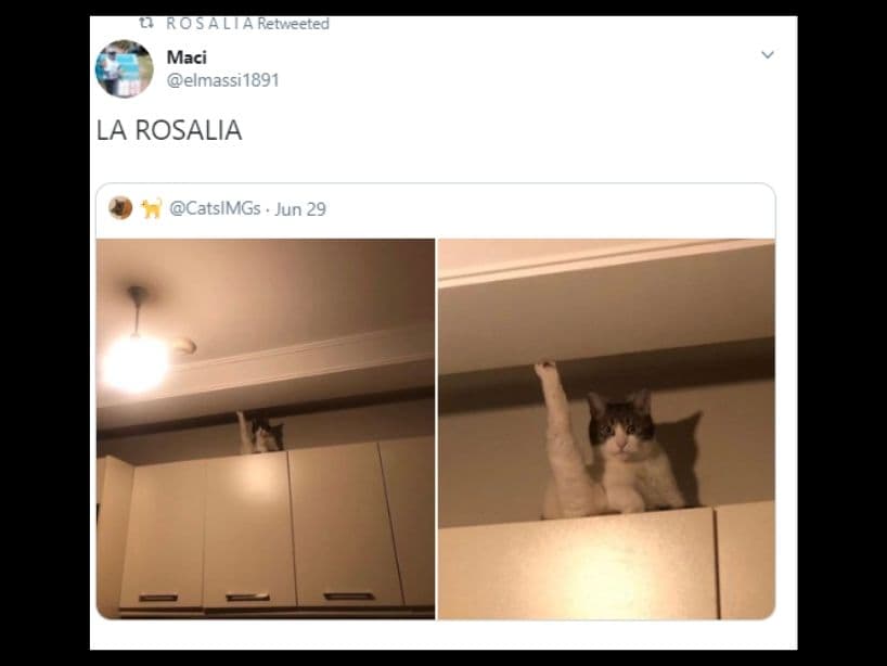 Además de ser cantante, la Rosalía es millennial y también le entra a los memes.