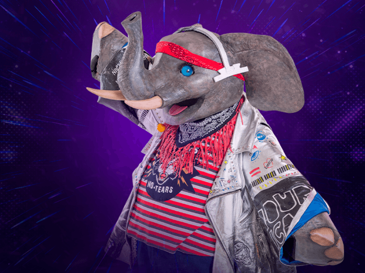 Elefante es un rockero hiperactivo y muy bebé. Su universo es un garage indie donde pueda hacer travesuras.