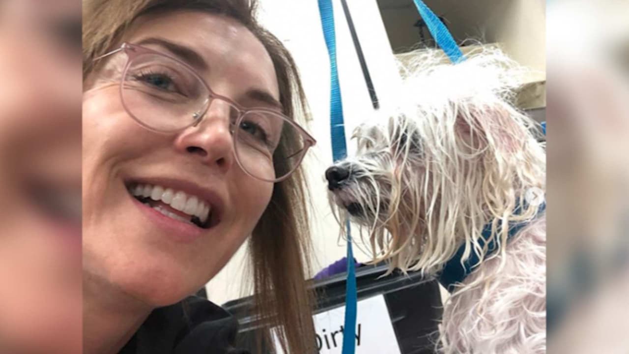 ‘Quiero ser una buena peluquera’: Laura Flores abre su propia estética canina