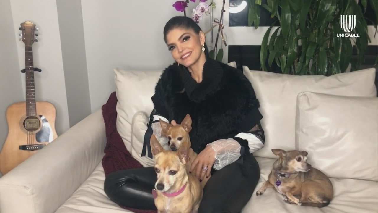 Ana Bárbara describe la personalidad de sus cuatro mascotas y asegura que en su casa ‘son muy queridas’