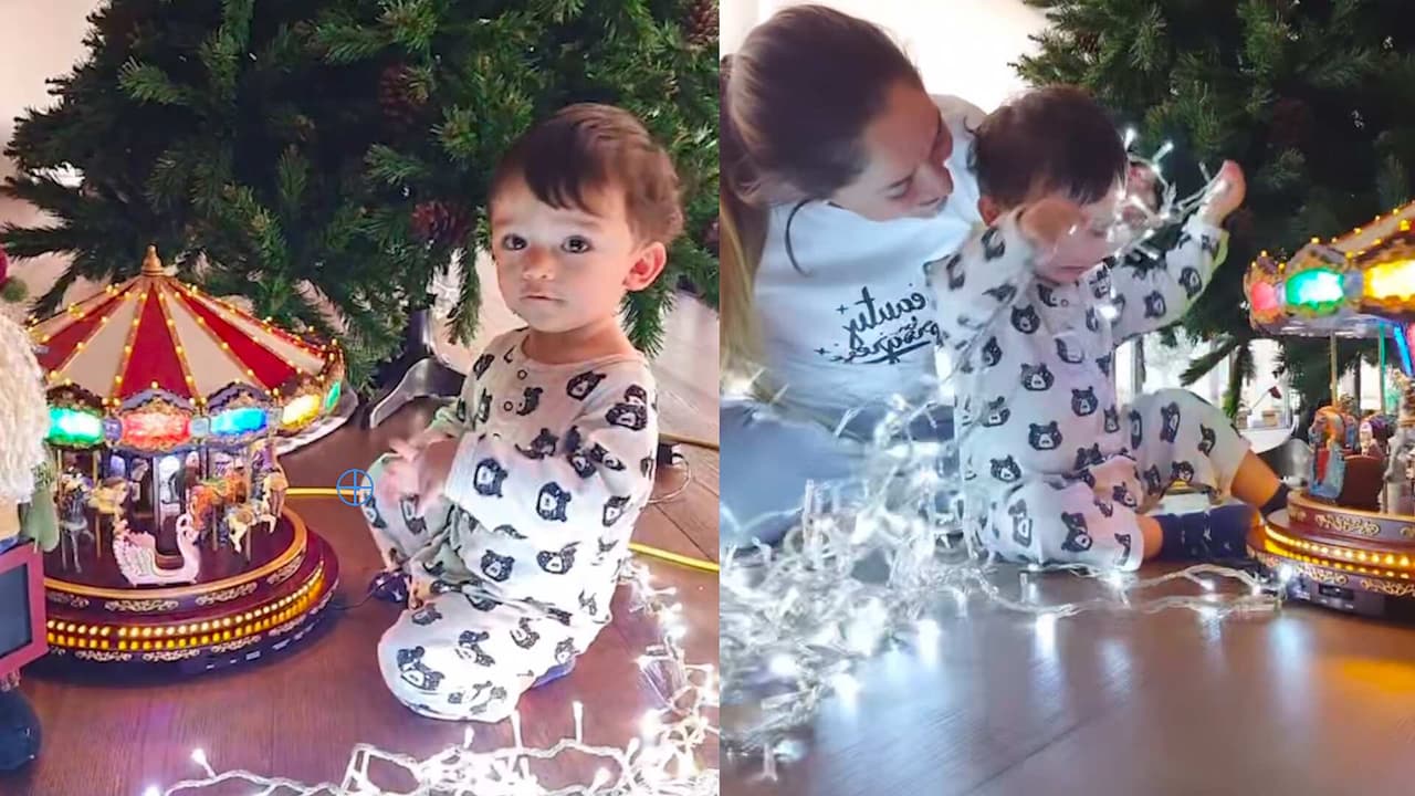 André enternece por terminar enredado en las luces de Navidad