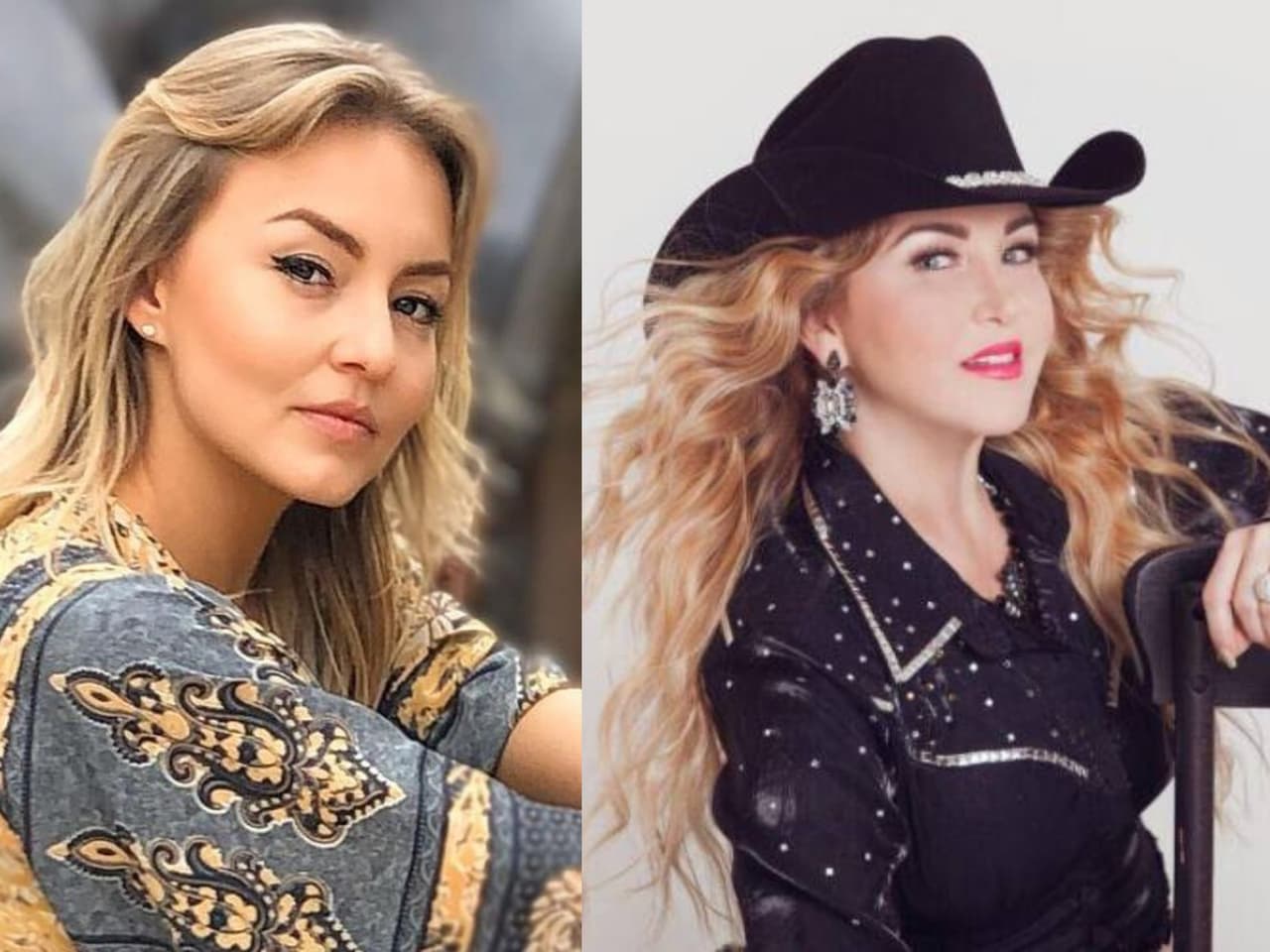 Alicia Villarreal quiere a Angelique Boyer para su bioserie