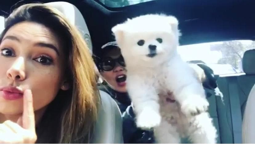 Las conductoras de 'Montse y Joe' viven enamoradas de sus mascotas, y seguro tú como ellas también te desvives por presumir las mejores fotos con las tuyas.