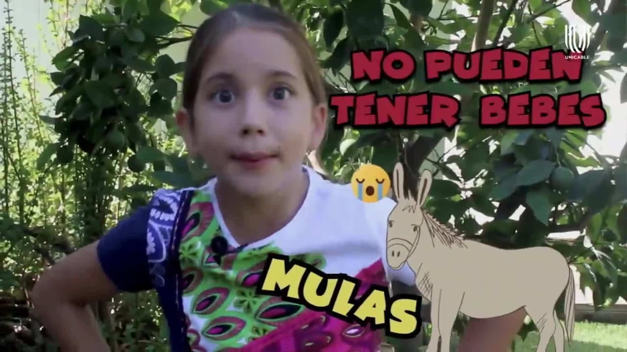 ¿Sabías qué las mulas no pueden reproducirse? ¡Descubre por qué!
