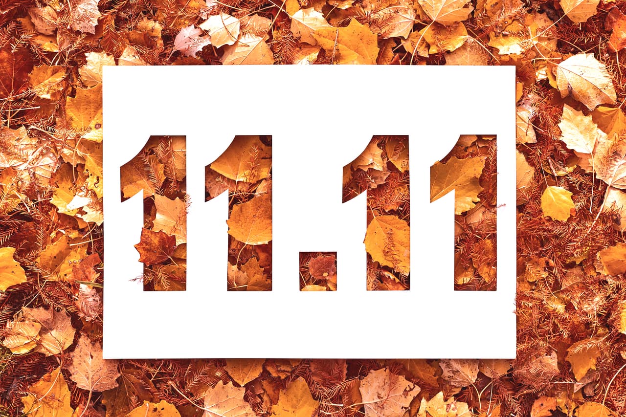 11.11 text cut out on white paper card lying on background texture of yellow and orange autumn fall leaves . Autumn flyer, banner or poster design template with copy space. November shopping concept.