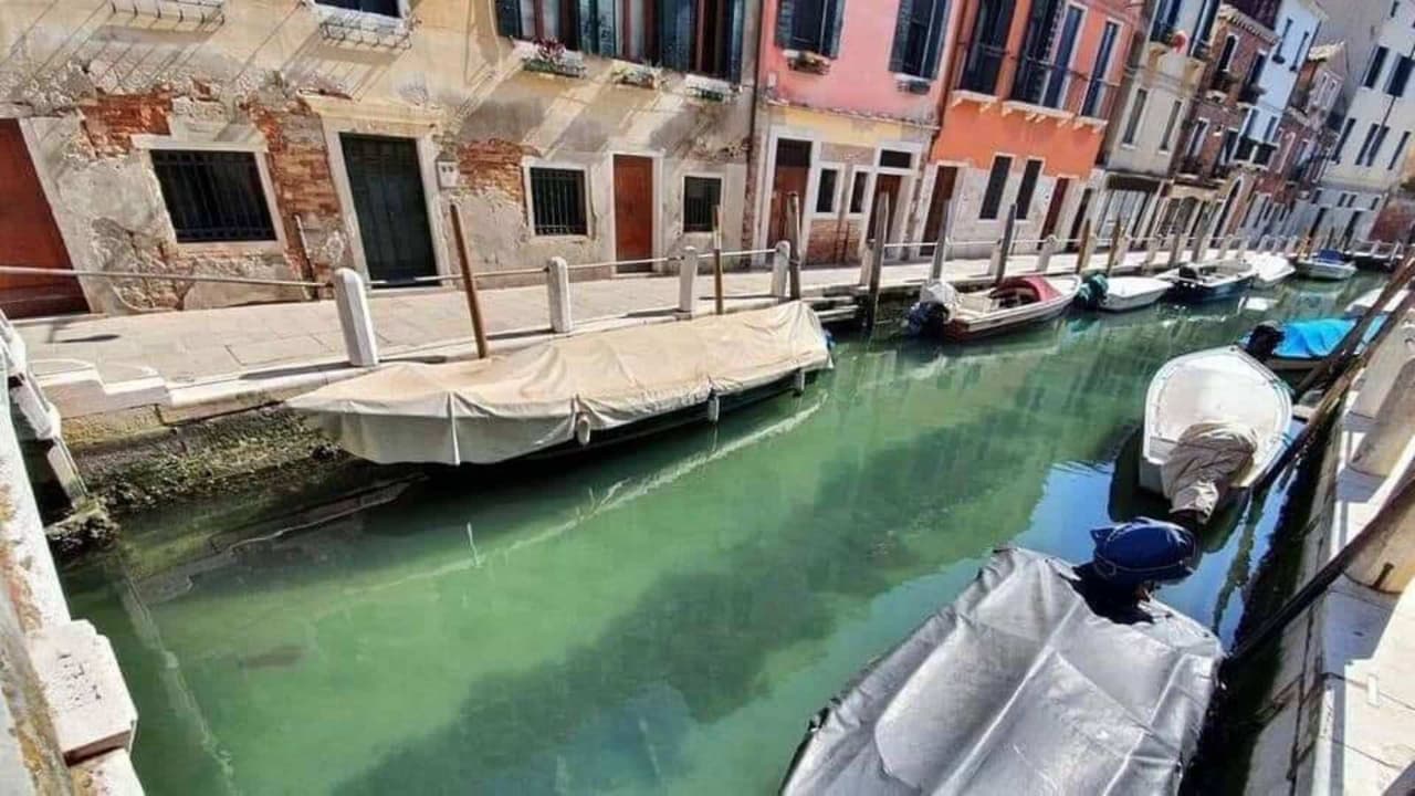 Así se ven los canales de Venecia con aguas limpias tras el confinamiento de coronavirus