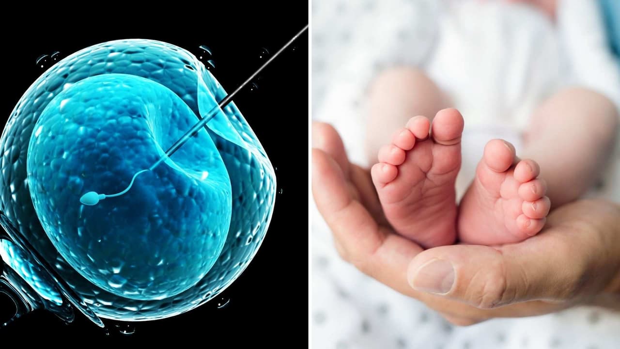 Una pareja recibe otros bebés por confusión con la fertilización in vitro