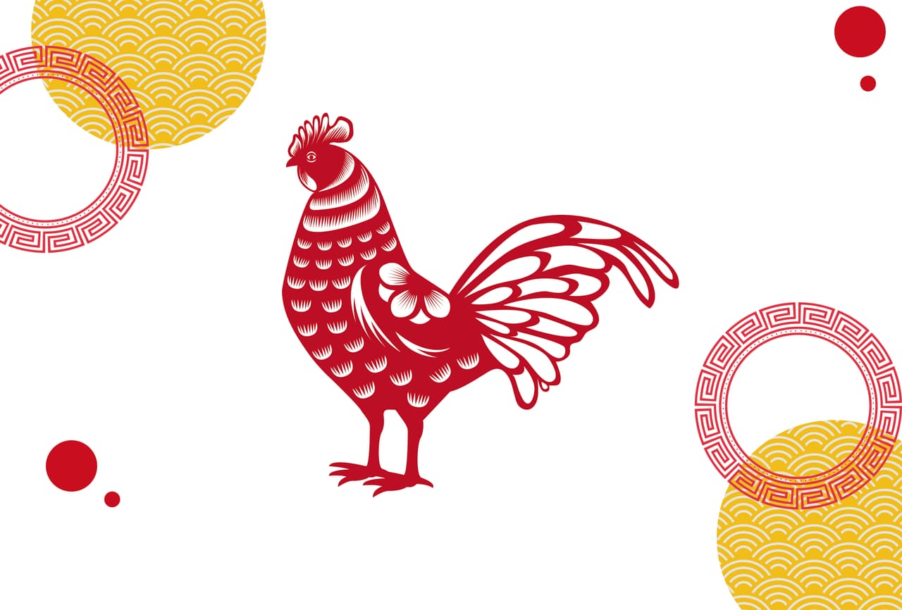 GALLO Este signo representa a todos los nacidos en los siguientes años: 1945, 1957, 1969, 1981, 1993, 2005 y 2017. Características: Son entusiastas y trabajadores. Son líderes pero muy despistados, su capacidad es contagiosa y puede llegar a confundir a los demás. En 2020: Vienen muchas buenas noticias. Tendrás un buen año, con una familia más unida y relaciones emocionales o amorosas más cercanas.