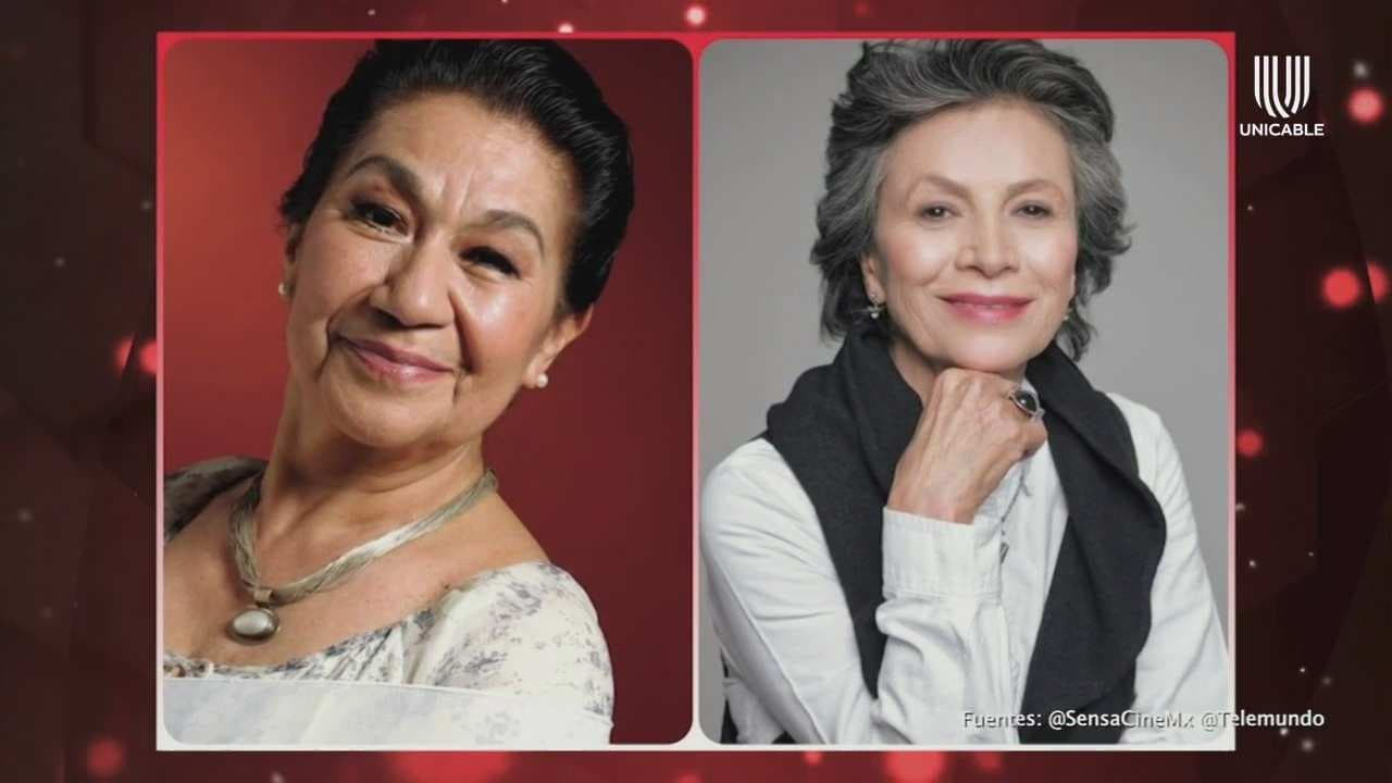 ‘Estoy muy contenta’: Patricia Reyes Spíndola habla sobre su regreso a las telenovelas