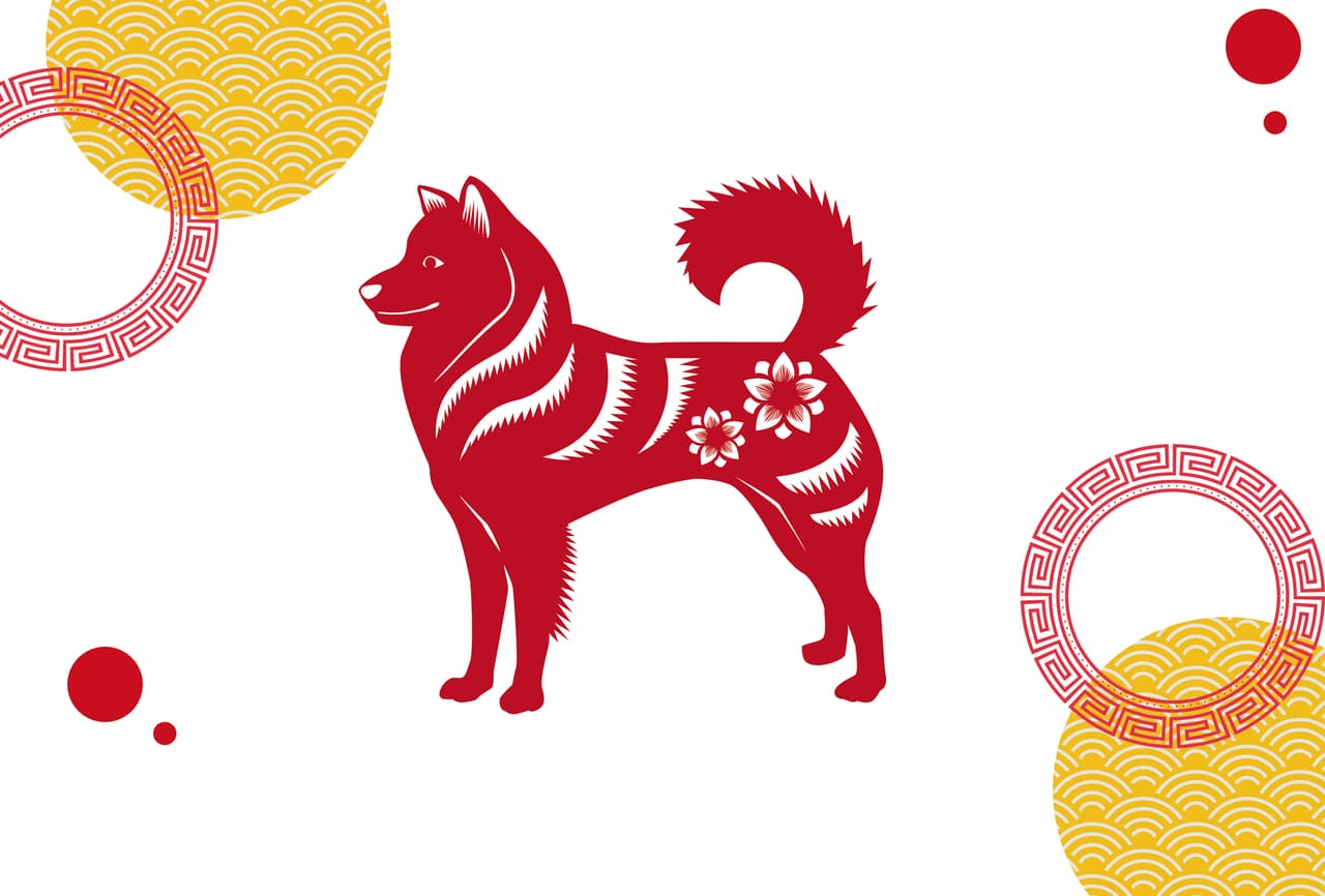 PERRO Este signo representa a todos los nacidos en los siguientes años: 1946, 1958, 1970, 1982, 1994, 2006 y 2018. Características: Son leales a morir, tiernos, les gusta la compañía, estar enamorados todo el tiempo y ser como una figura paterna que protege a todos. En ocasiones pueden llegar a sentir que no son muy queridos, tienen problemas de autoestima y les cuesta mucho trabajo perdonar y soltar.En este 2020: Con el año nuevo llegarán a tu vida varios cambios y, sobre todo, nuevos comienzos en distintos aspectos.