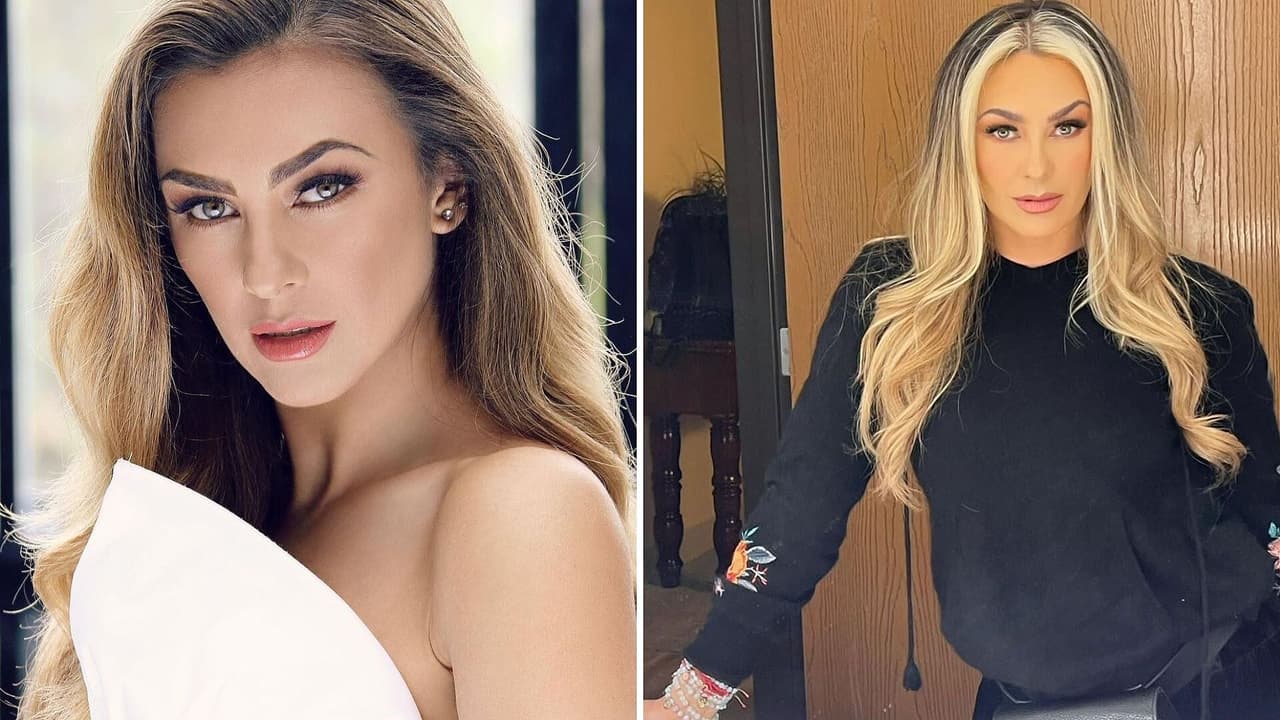Aracely Arámbula: sus personajes de novelas más recordados