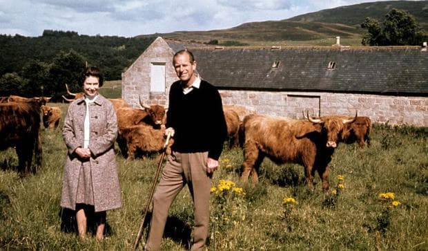 Isabel II: ¿cómo viven sus vacas lecheras?