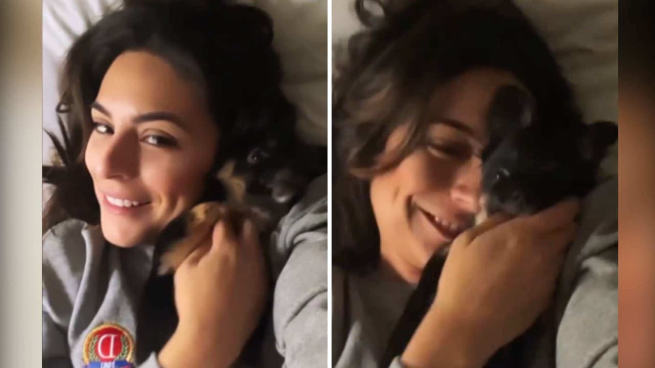 Ana Brenda Contreras presenta a su nueva mascota, una perrita que le derritió el corazón